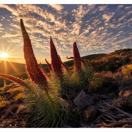 Appartamento Paradise View Tenerife *