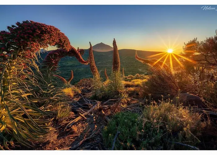 Paradise View Tenerife شقة أذيخي