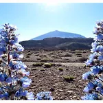 Apartment Paradise View Tenerife Costa Adeje (Tenerife)