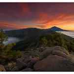 Paradise View Tenerife * Costa Adeje (Tenerife)