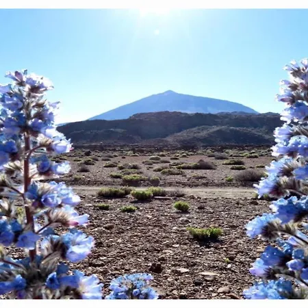 Daire Paradise View Tenerife Costa Adeje