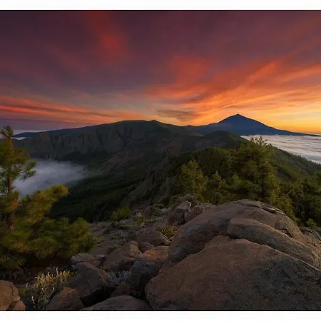 Paradise View Tenerife * أذيخي