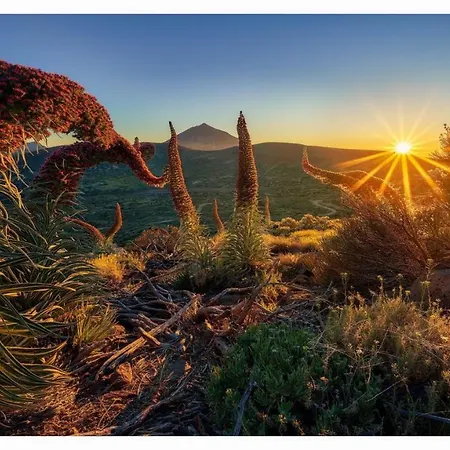 Paradise View Tenerife شقة أذيخي