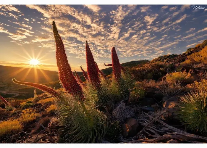 Lägenhet Paradise View Tenerife *